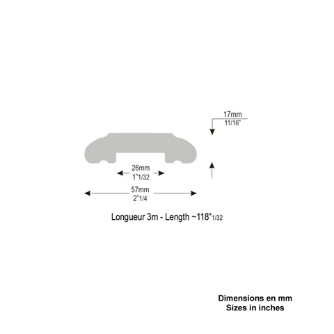 Main courante moulure 55x17mm 3m Acier Main courante moulure